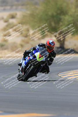 media/May-14-2023-SoCal Trackdays (Sun) [[024eb53b40]]/Turn 5 Tree of Life (1125am)/